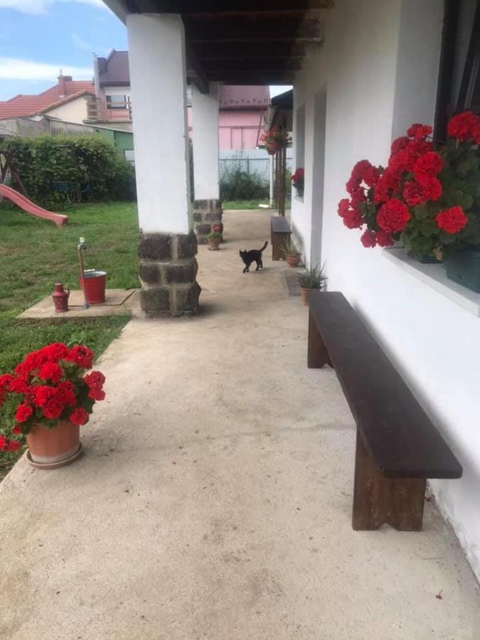 ONCSA Vendégház Gyöngyös Exterior foto