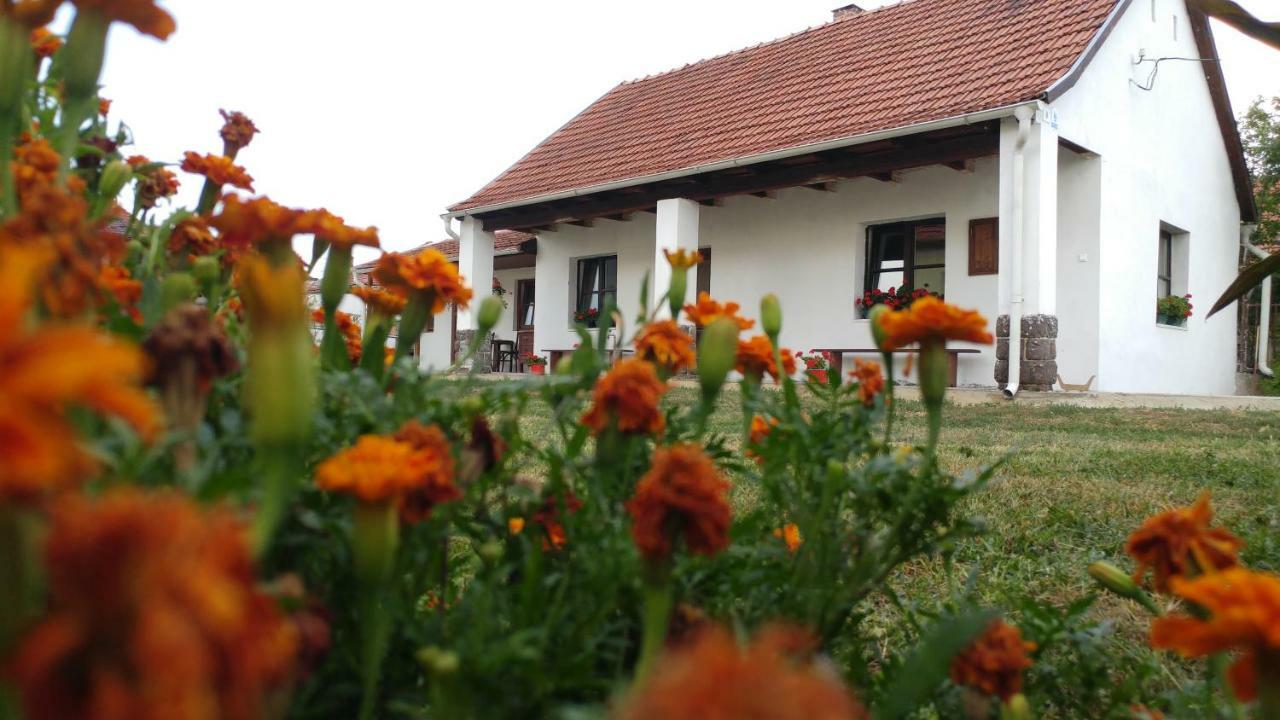 ONCSA Vendégház Gyöngyös Exterior foto
